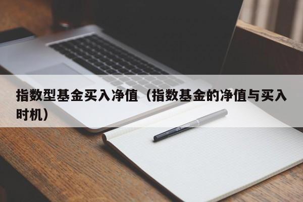 指数型基金买入净值(指数基金的净值与买入时机)