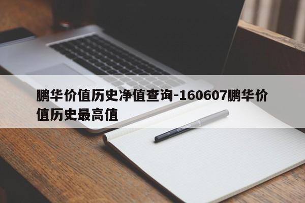 鹏华价值历史净值查询-160607鹏华价值历史最高值